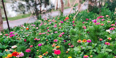 肥乡区肥义公园