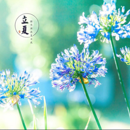 江苏华苑