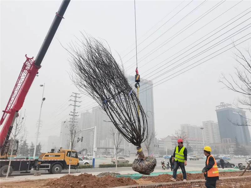 微信图片_20210317085833_副本.jpg