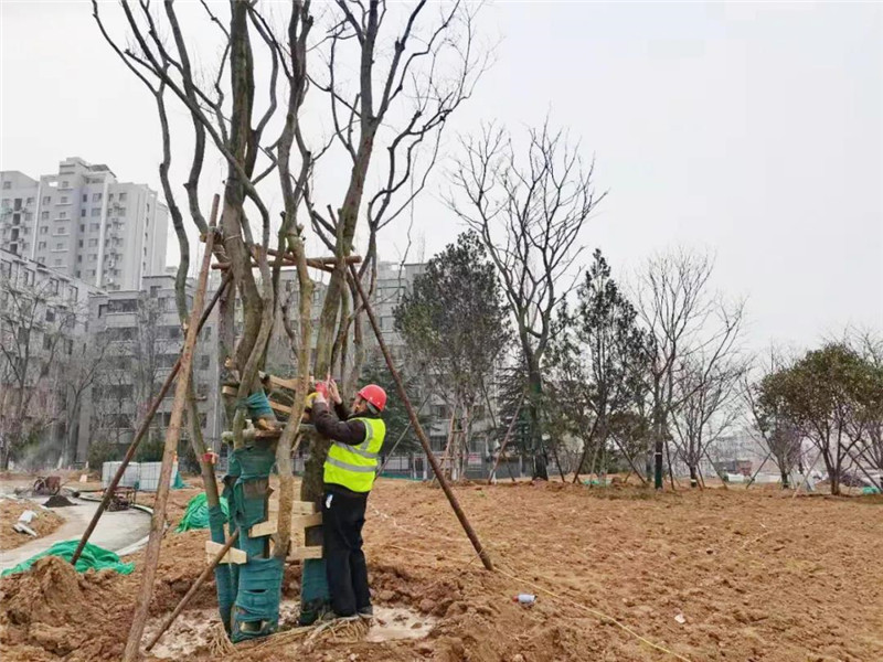 微信图片_20210317085836_副本.jpg