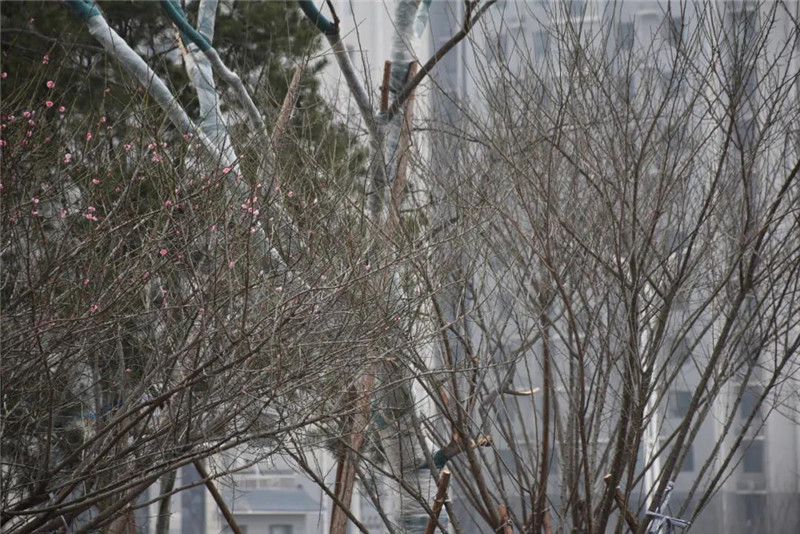 微信图片_20210317085919_副本.jpg